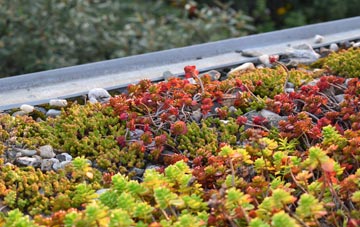 the cost of Exceat green roof installation